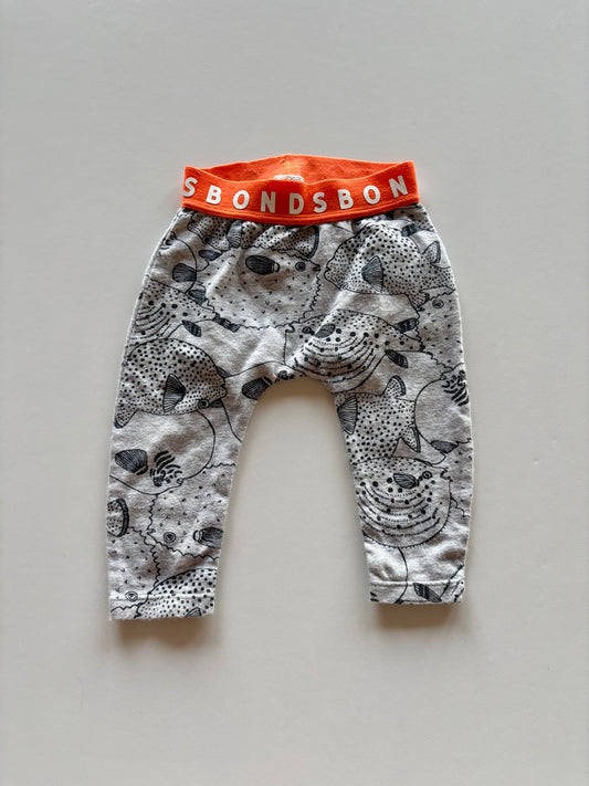 Grey & Orange Pufferfish Bonds Stretchies