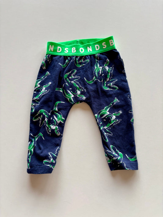 Navy & Green Dino Bonds Stretchies