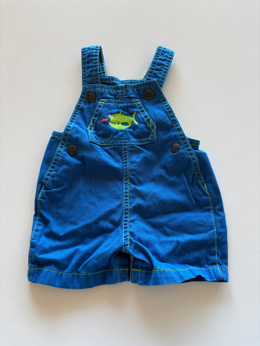 Blue & Green Overall Shorts