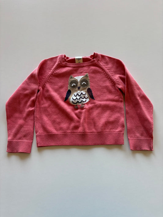 Pink Owl Sweater
