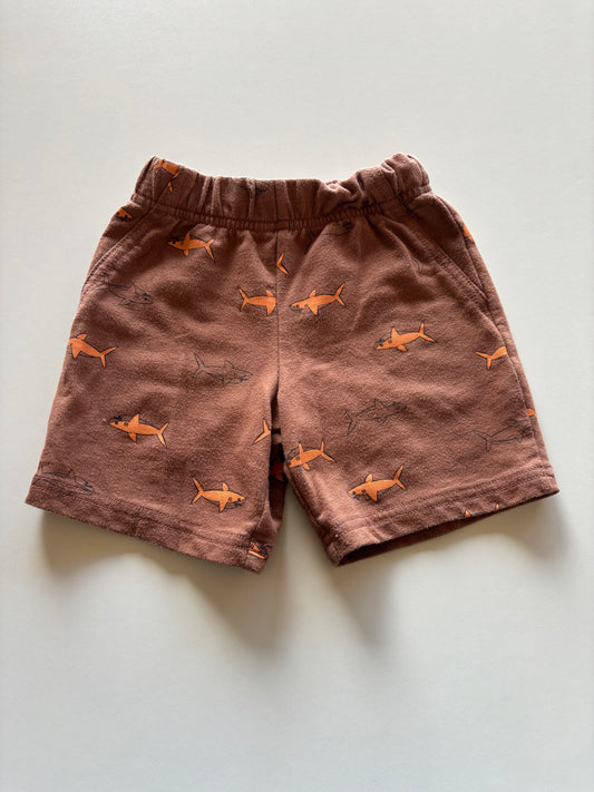 Brown Shark Shorts