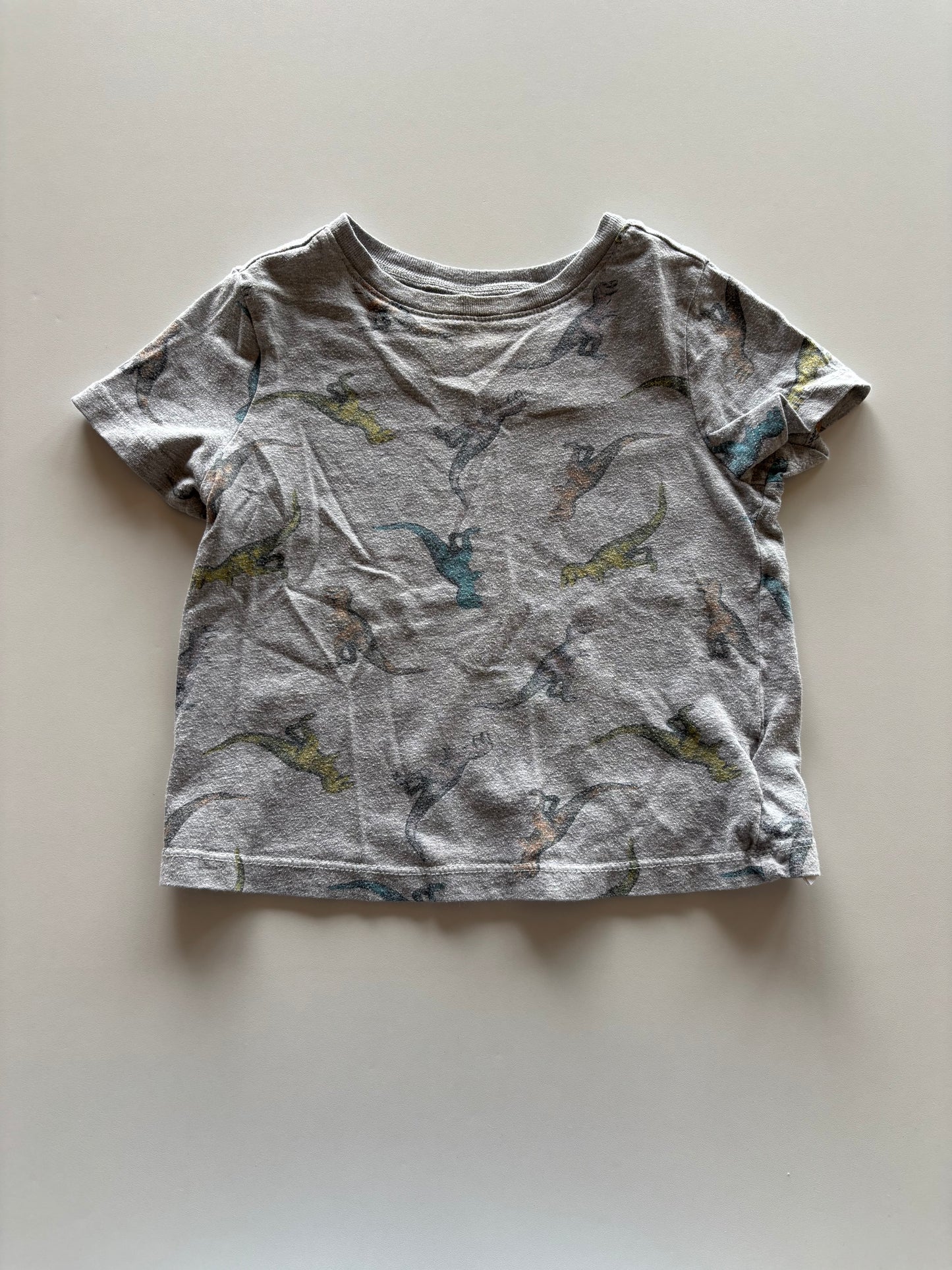 Grey Colourful Dinos Tee