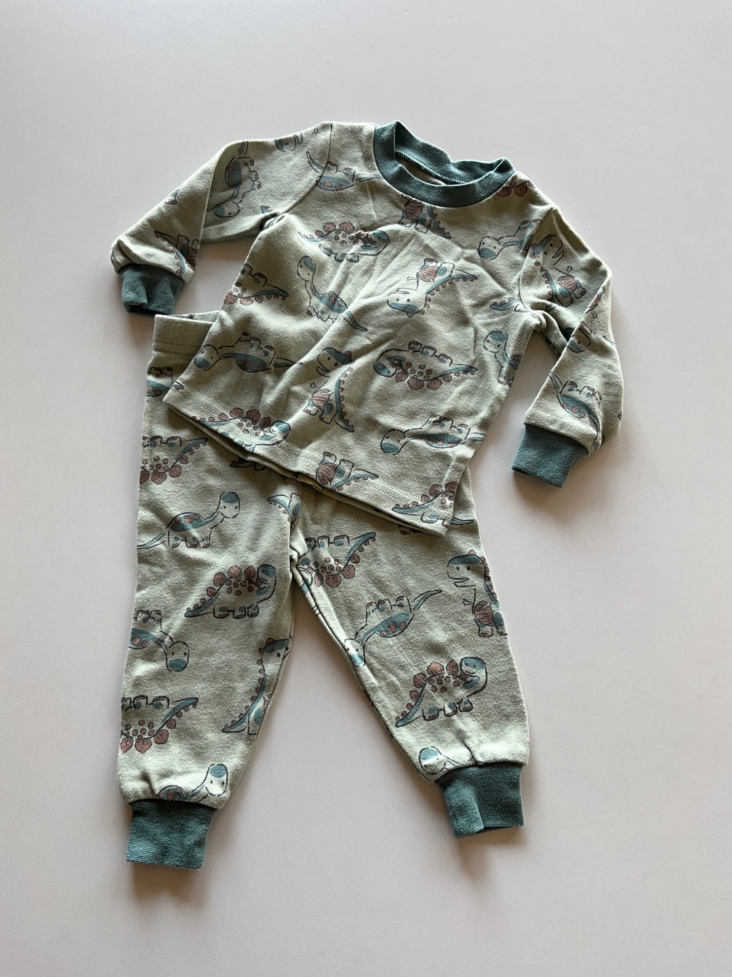 2pc Dinosaur Pajamas