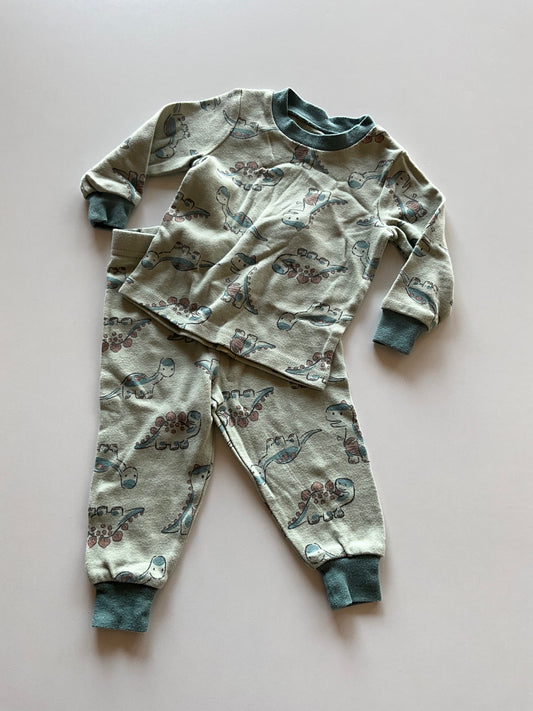 2pc Dinosaur Pajamas