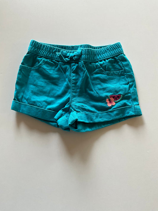 Turquoise Watermelon Shorts