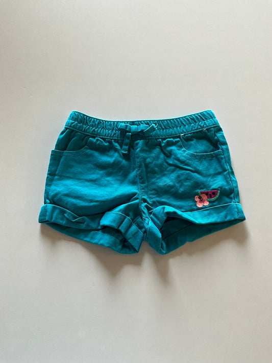 Turquoise Watermelon Shorts