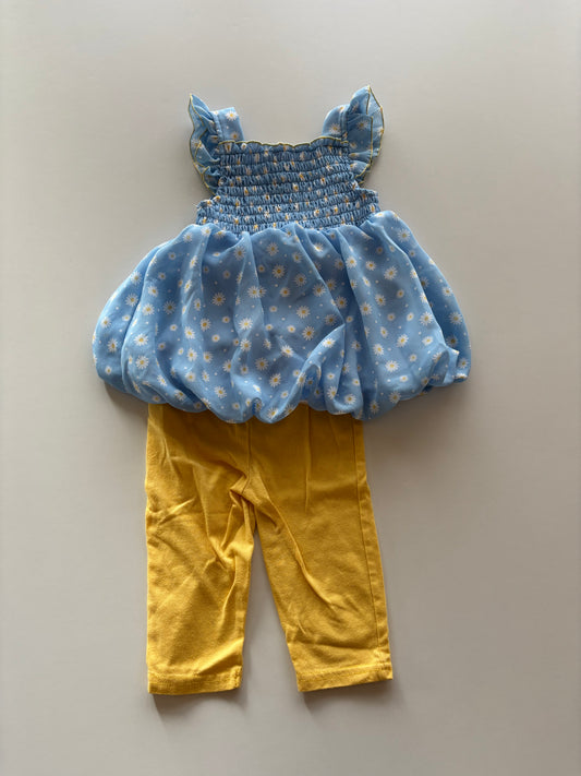 2pc Yellow & Blue Daisy Set