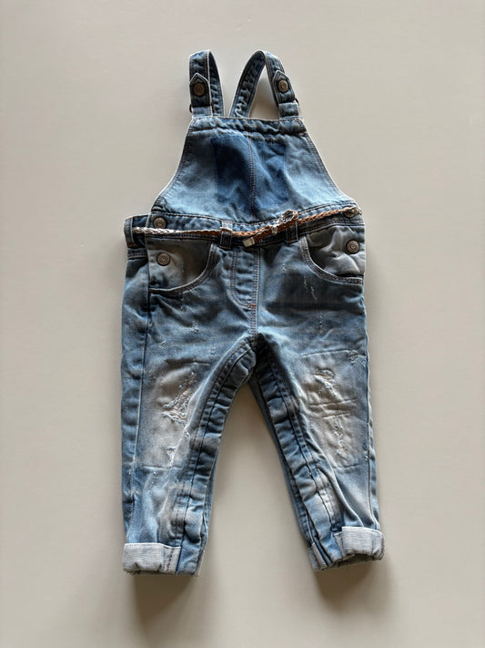 Distressed Denim Overalls