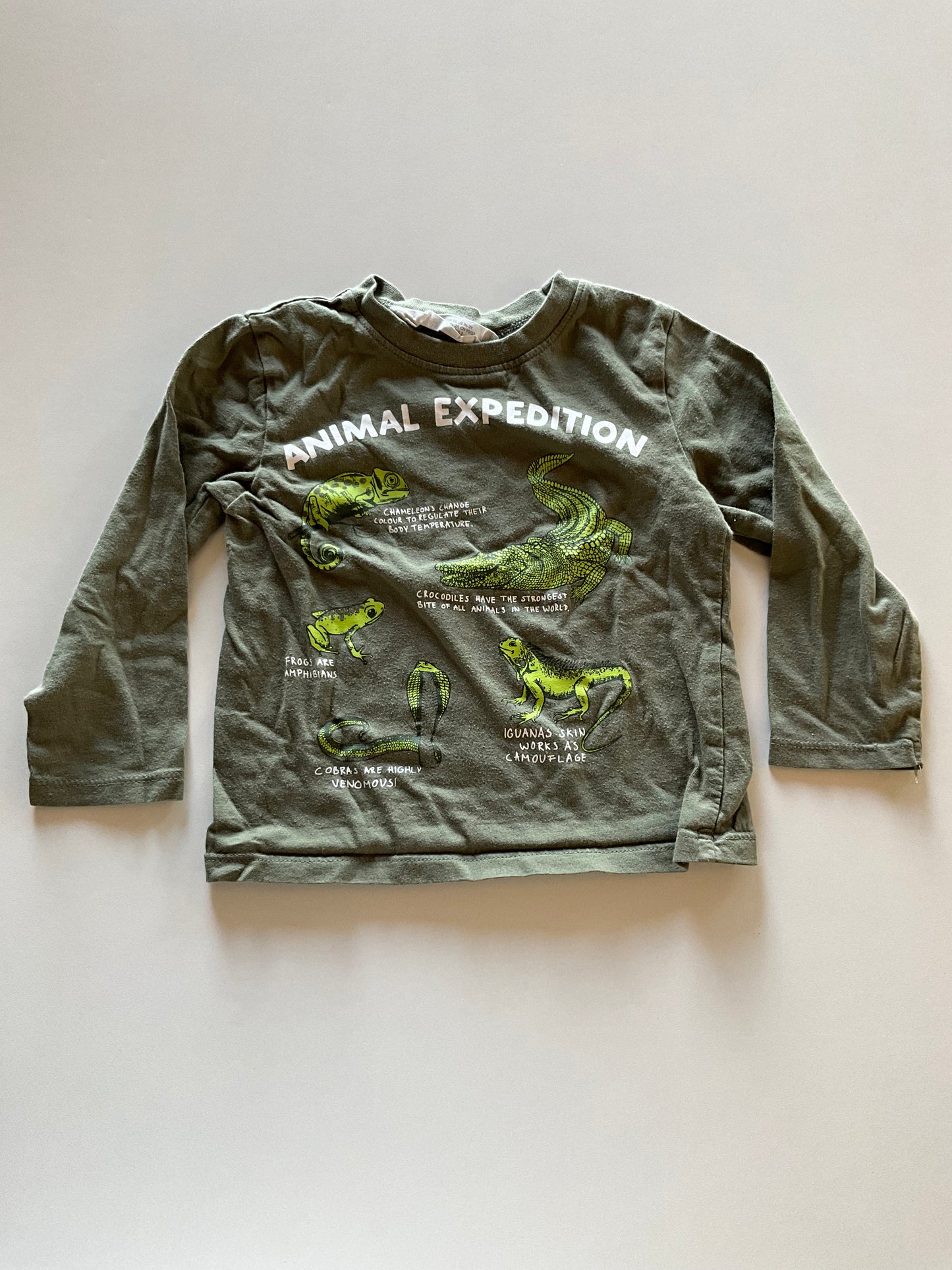 Animal Expedition Shirt