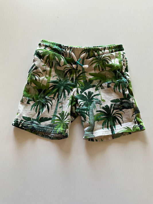 Dinosaur Palm Trees Shorts