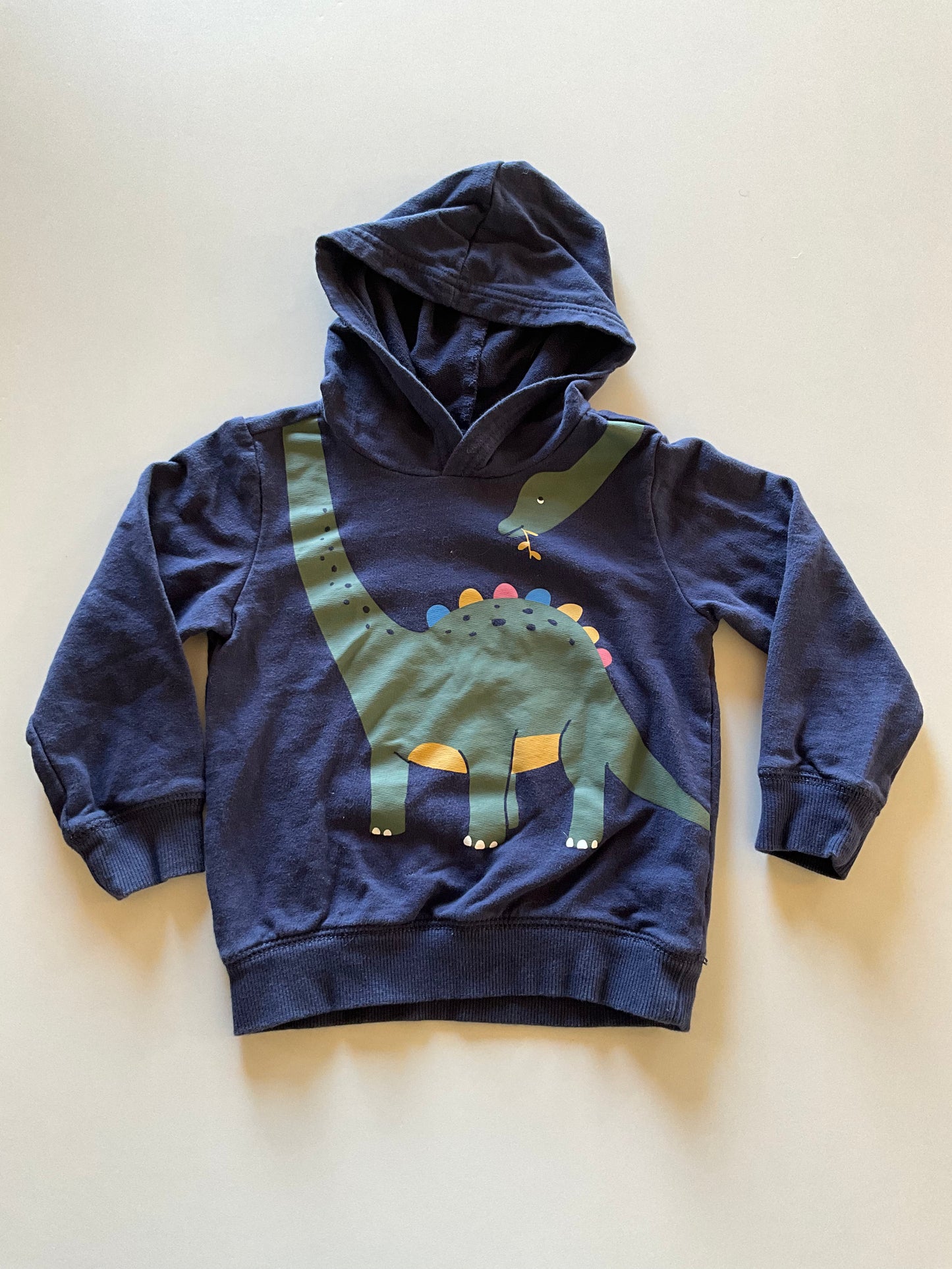 Dinosaur Hoodie