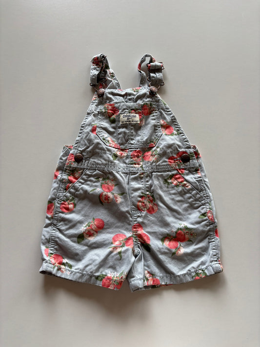 Blue Peach Overall Shorts