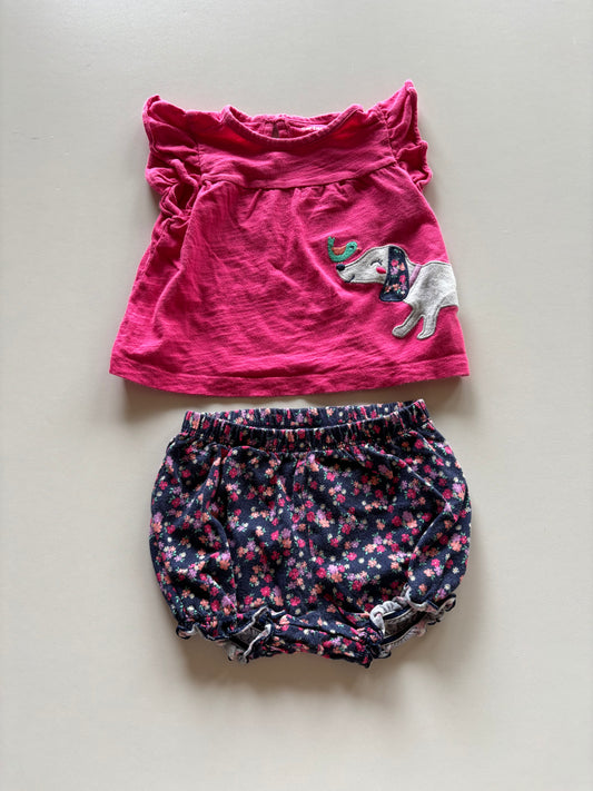 2pc Floral Dog Set