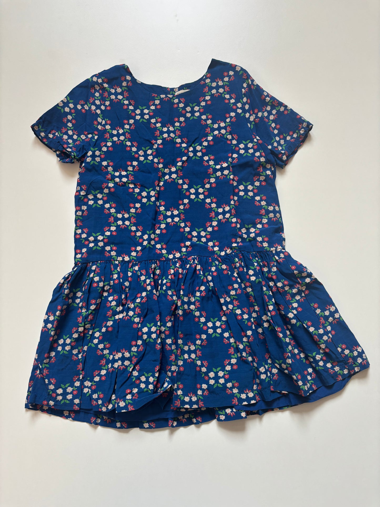 Blue & Red Floral Dress