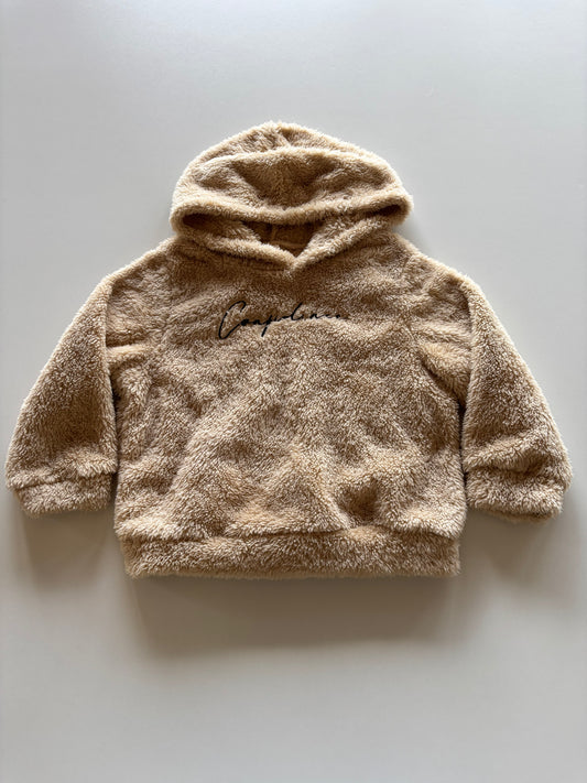 Brown Fuzzy Confidence Hoodie