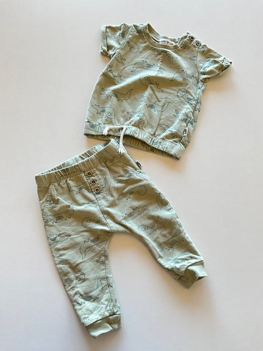 2pc Green Alligator Set