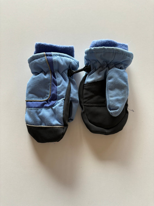 Blue Winter Mittens