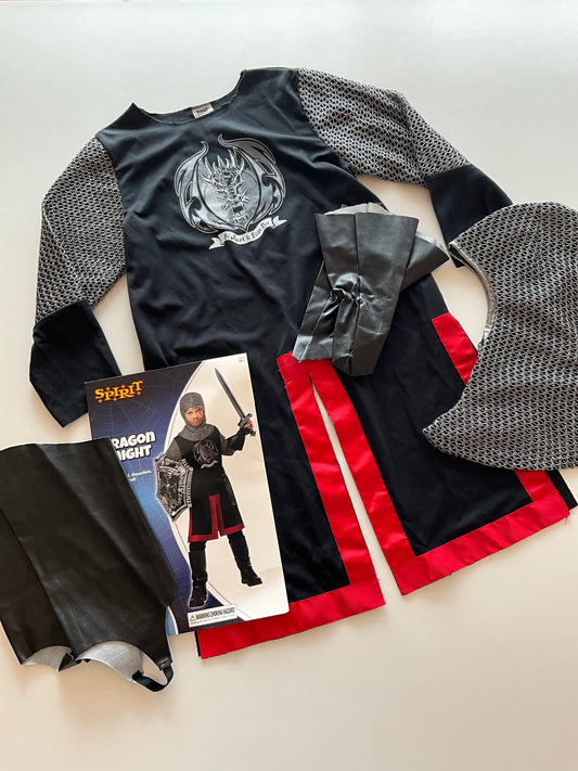 Dragon Knight Costume
