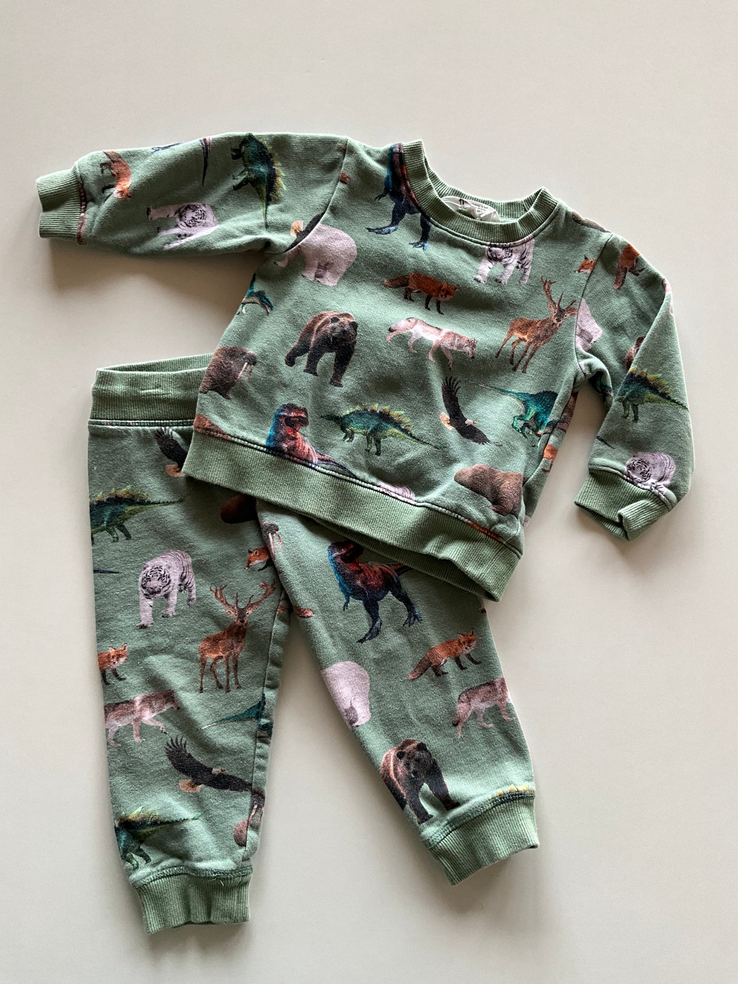 2pc Green Animals Leisure Suit