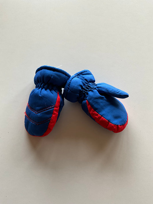 Blue & Red Snow Mittens