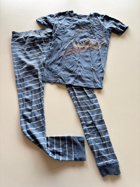 2pc Blue Dinosaur Pajamas