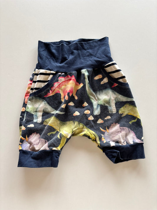 Dinosaur Shorts