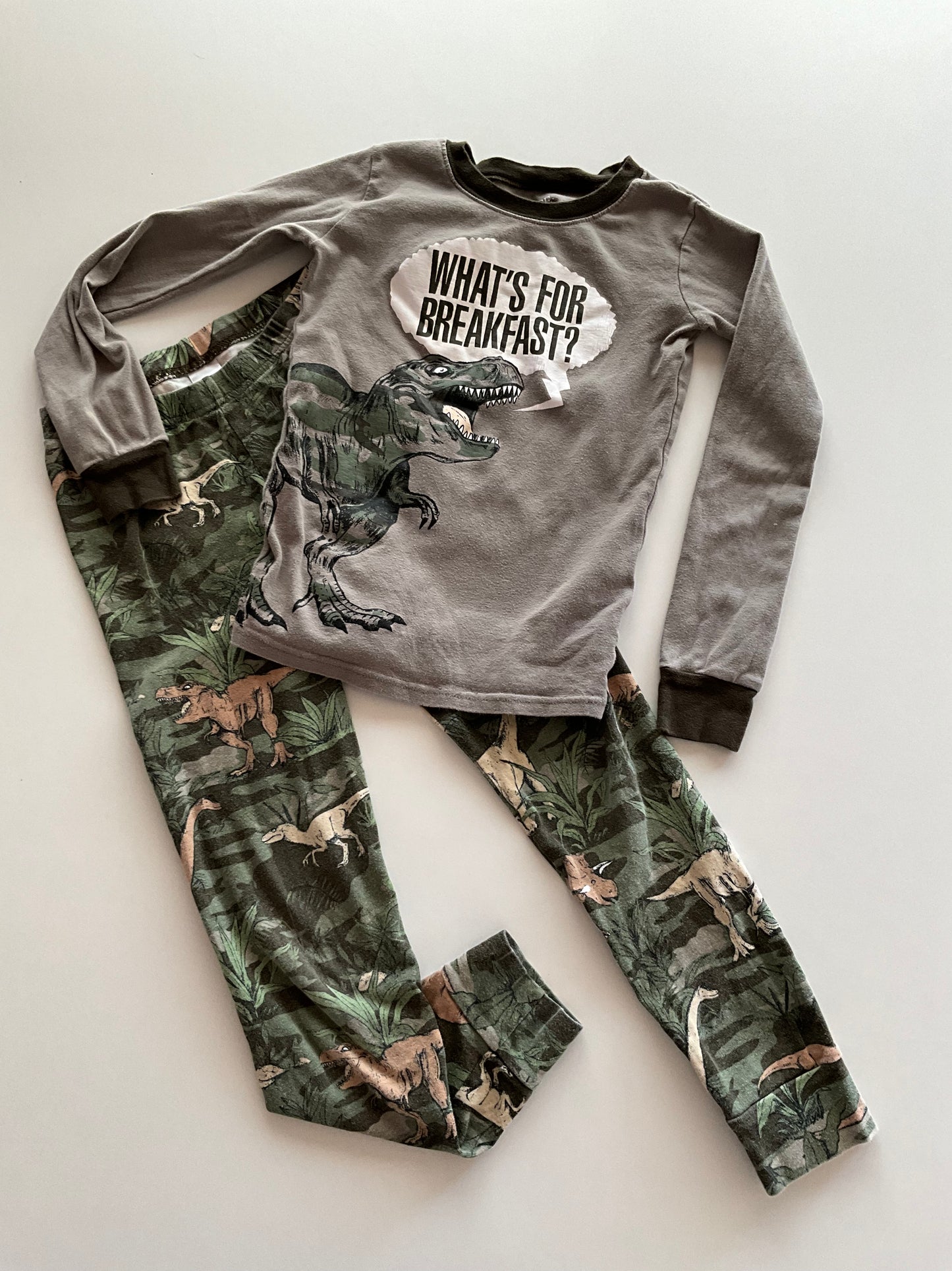 2pc Dinosaur Pajamas