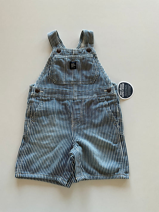 BNWT Striped Overall Shorts
