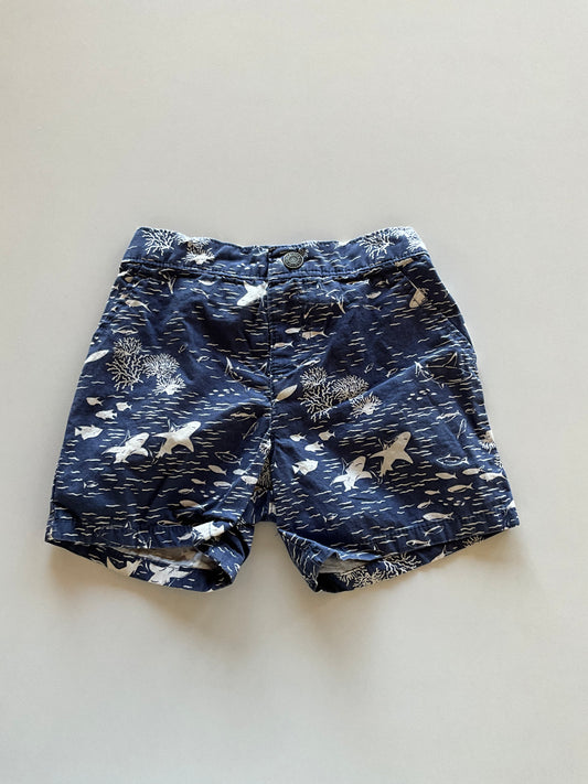Blue Shark Shorts