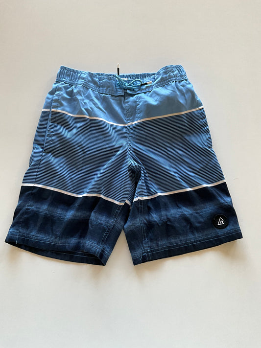 Blue Striped Swim Trunks