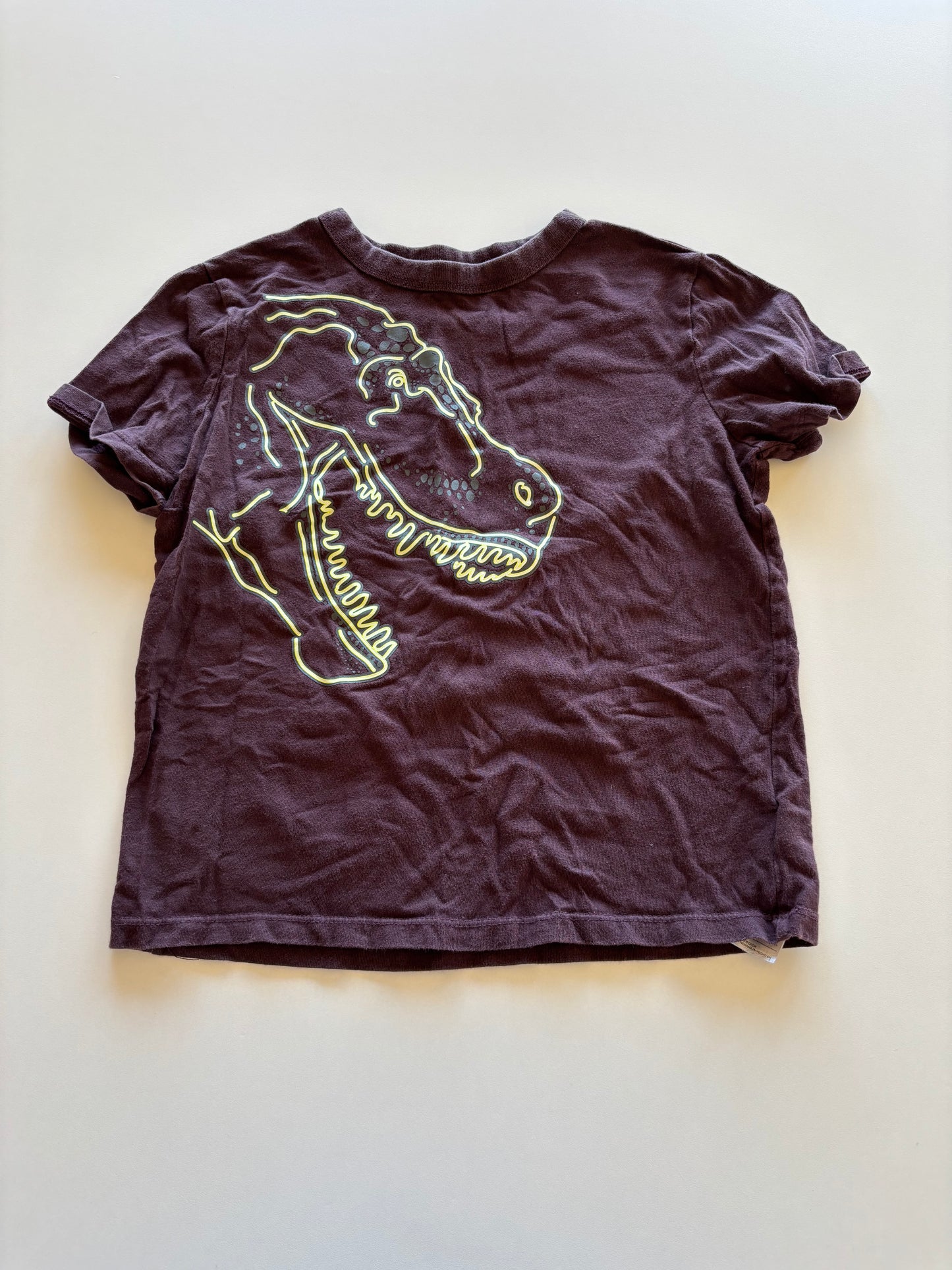 Purplish Brown T Rex Tee