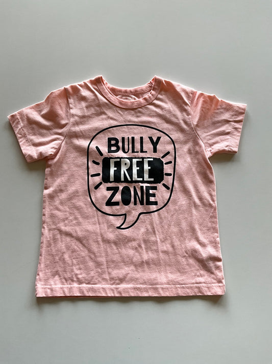 Pink Bully Free Zone