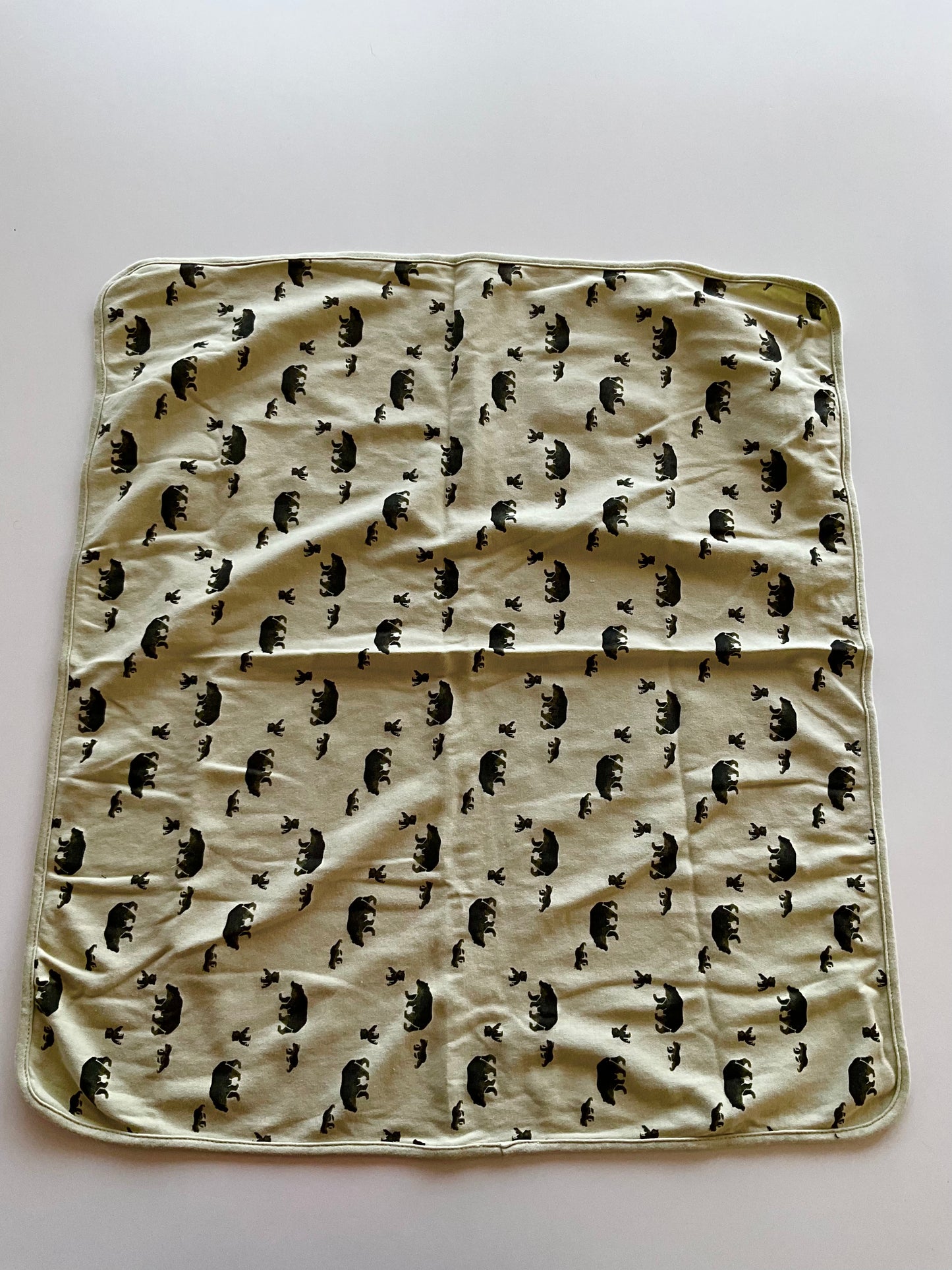 Green Bear Blanket
