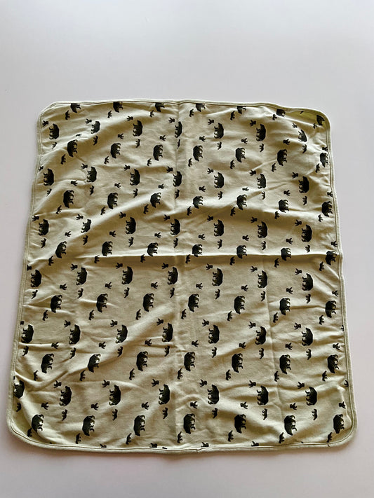 Green Bear Blanket